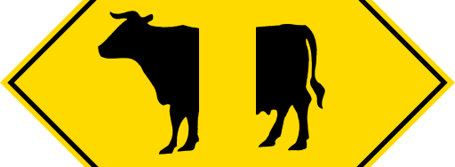 Invisible Cow